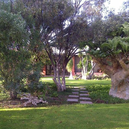 Buschberg Guest Farm Villa Outjo Esterno foto