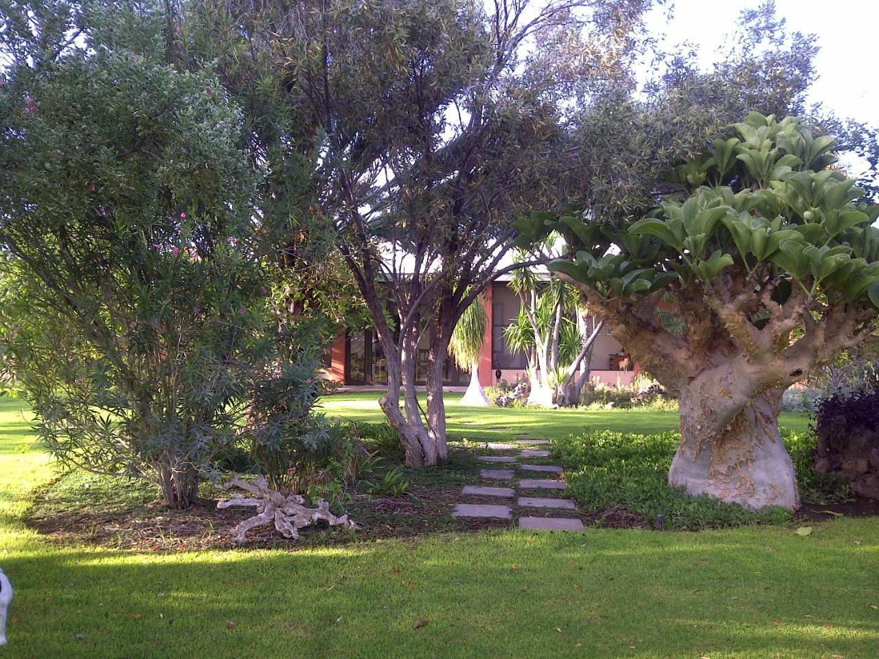 Buschberg Guest Farm Villa Outjo Esterno foto